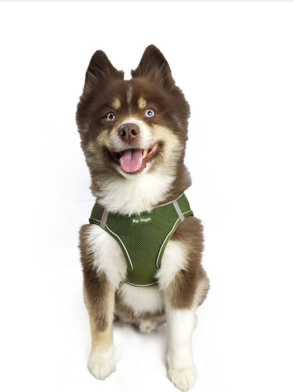 EZ Reflective Harness Vest - Green/Olive
